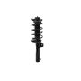 FCS Struts 5335576 Suspension Strut and Coil Spring Assembly