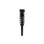 FCS Struts 5335790 Suspension Strut and Coil Spring Assembly