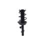FCS Struts 5335909L Suspension Strut and Coil Spring Assembly