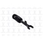 FCS Struts 5345799 Suspension Strut and Coil Spring Assembly