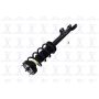 FCS Struts 5345799 Suspension Strut and Coil Spring Assembly