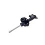 FCS Struts 631517 Suspension Strut