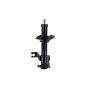 FCS Struts 631533R Suspension Strut