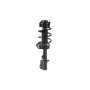 FCS Struts 6333406L Suspension Strut and Coil Spring Assembly