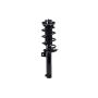 FCS Struts 7335576 Suspension Strut and Coil Spring Assembly