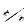 FCS Struts 80005 Liftgate Lift Support