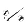 FCS Struts 80015L Liftgate Lift Support