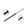 FCS Struts 80017R Liftgate Lift Support