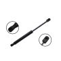FCS Struts 80019 Trunk Lid Lift Support