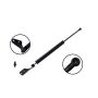 FCS Struts 80022R Liftgate Lift Support