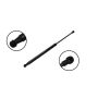 FCS Struts 80032 Liftgate Lift Support