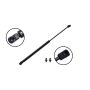 FCS Struts 80042 Liftgate Lift Support