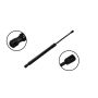 FCS Struts 80045 Liftgate Lift Support