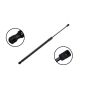 FCS Struts 80052 Liftgate Lift Support