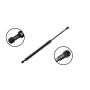 FCS Struts 80054 Liftgate Lift Support
