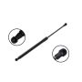 FCS Struts 80057 Liftgate Lift Support
