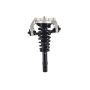 FCS Struts 8335532L Suspension Strut and Coil Spring Assembly