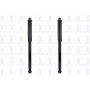 FCS Struts 8341623 Shock Absorber Assembly Kit
