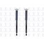 FCS Struts 8341979 Shock Absorber Assembly Kit