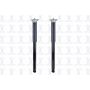 FCS Struts 8346041 Shock Absorber Assembly Kit