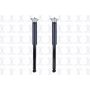 FCS Struts 8346207 Shock Absorber Assembly Kit