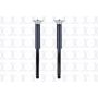 FCS Struts 8346207 Shock Absorber Assembly Kit