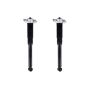 FCS Struts 8346250 Shock Absorber Assembly Kit
