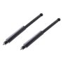 FCS Struts 8346452 Shock Absorber Assembly Kit