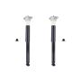 FCS Struts 8346944 Shock Absorber Assembly Kit