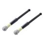 FCS Struts 8346945 Shock Absorber Assembly Kit