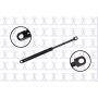 FCS Struts 84023 Hood Lift Support