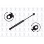 FCS Struts 84024 Hood Lift Support