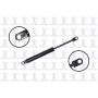 FCS Struts 84034 Hood Lift Support