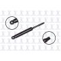 FCS Struts 84114 Hood Lift Support