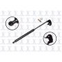 FCS Struts 84156L Hood Lift Support