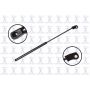 FCS Struts 84163R Hood Lift Support