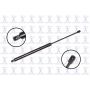 FCS Struts 84203 Liftgate Lift Support