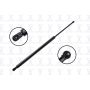 FCS Struts 84218 Liftgate Lift Support