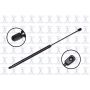 FCS Struts 84289 Hood Lift Support