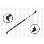 FCS Struts 84290 Liftgate Lift Support