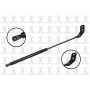 FCS Struts 84319L Liftgate Lift Support