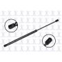 FCS Struts 84323 Hood Lift Support