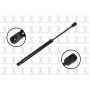 FCS Struts 84326 Hood Lift Support