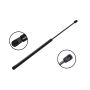 FCS Struts 84351 Liftgate Lift Support
