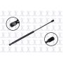 FCS Struts 84430 Liftgate Lift Support