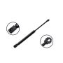 FCS Struts 84446 Hood Lift Support
