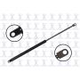 FCS Struts 84460 Liftgate Lift Support