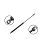 FCS Struts 84484 Liftgate Lift Support