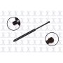 FCS Struts 84539 Trunk Lid Lift Support