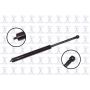 FCS Struts 84546 Trunk Lid Lift Support